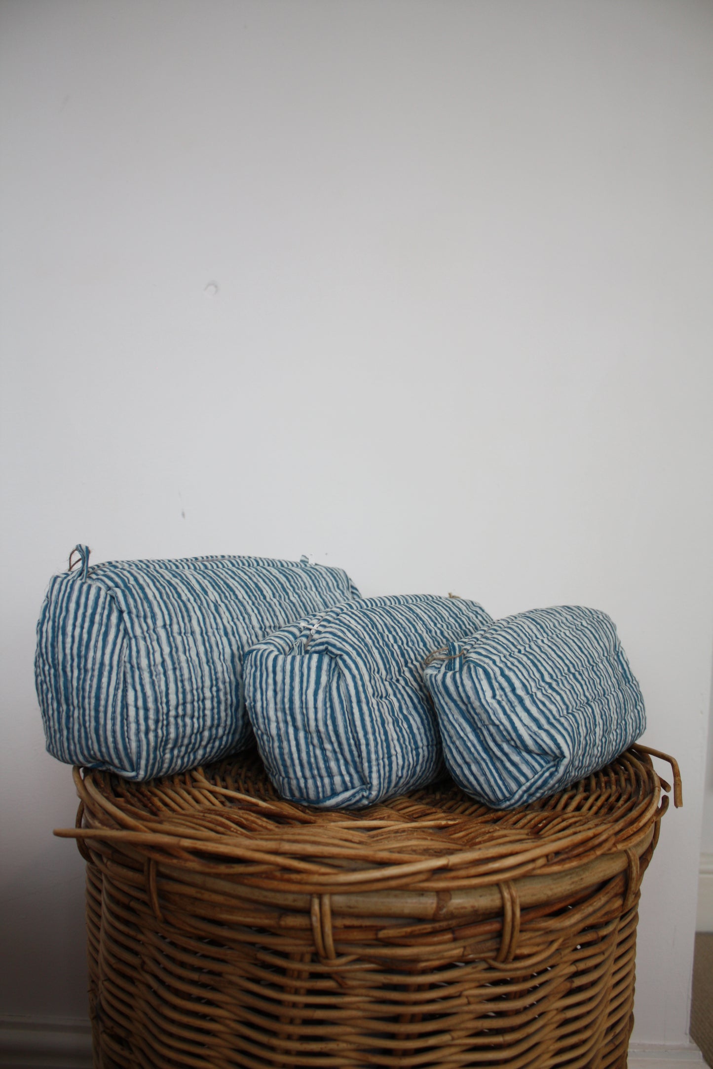 Blue Stripe Washbag
