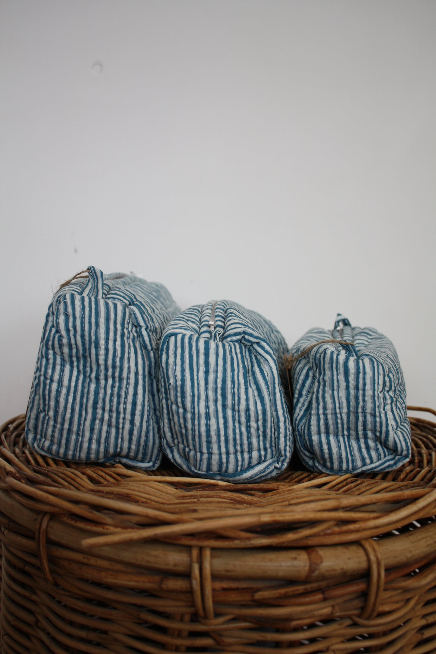 Blue Stripe Washbag